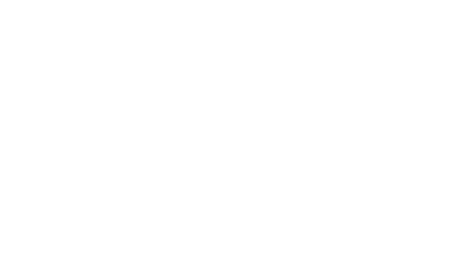 RUN TO THE FUTURE